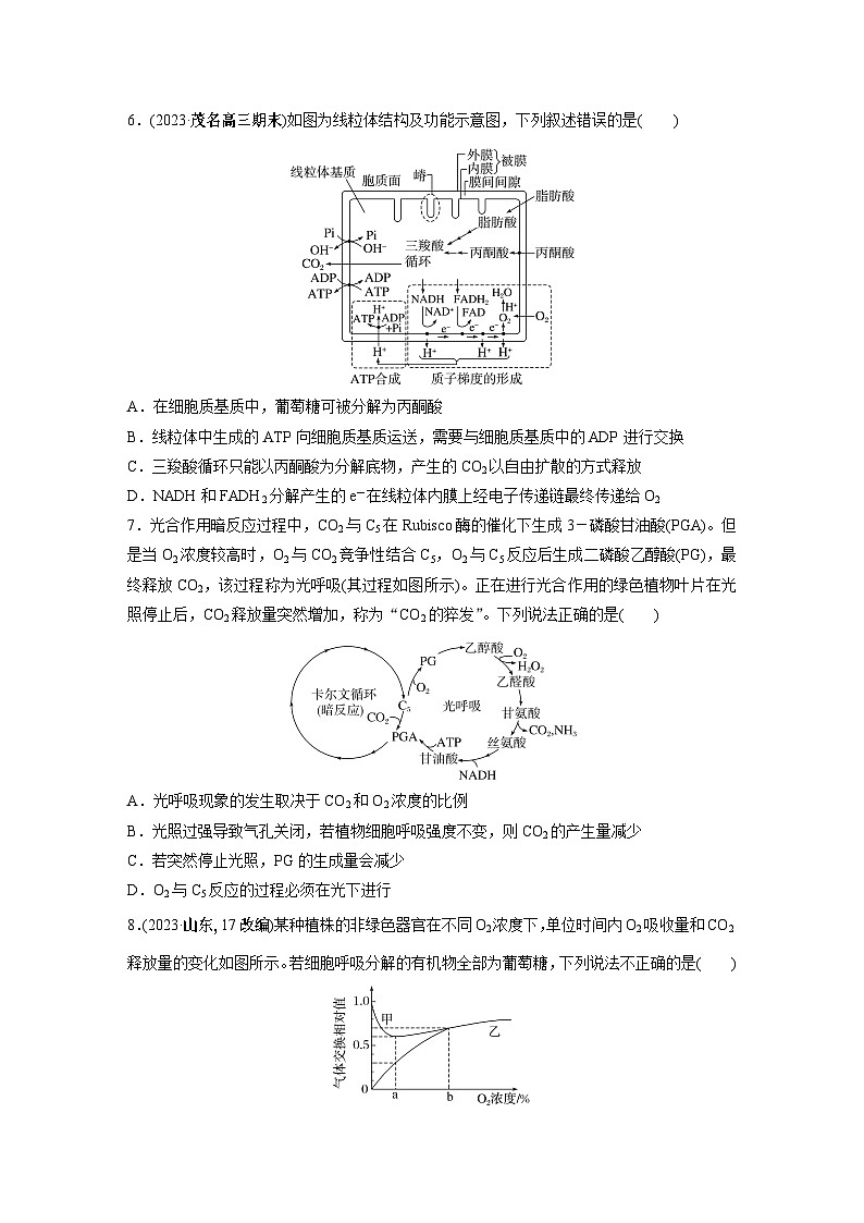 第一篇　主题一　专题(四)　专题强化练A 光合作用和细胞呼吸A 2024年高考生物二轮复习课件+讲义03