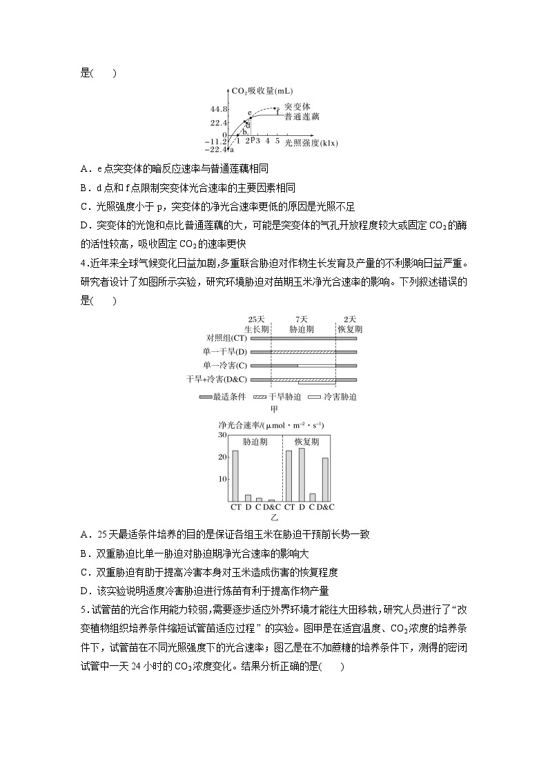 第一篇　主题一　专题(四)　专题强化练B 光合作用和细胞呼吸B 2024年高考生物二轮复习课件+讲义02