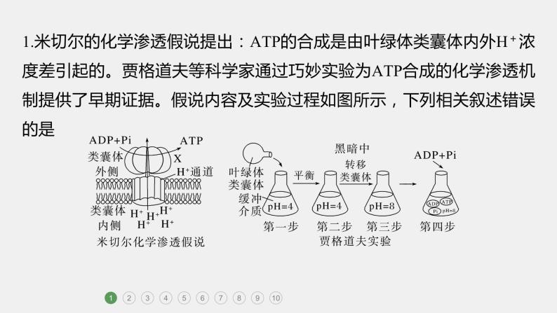 第一篇　主题一　专题(四)　专题强化练B 光合作用和细胞呼吸B 2024年高考生物二轮复习课件+讲义02