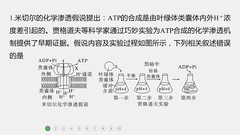 第一篇　主题一　专题(四)　专题强化练B第2页