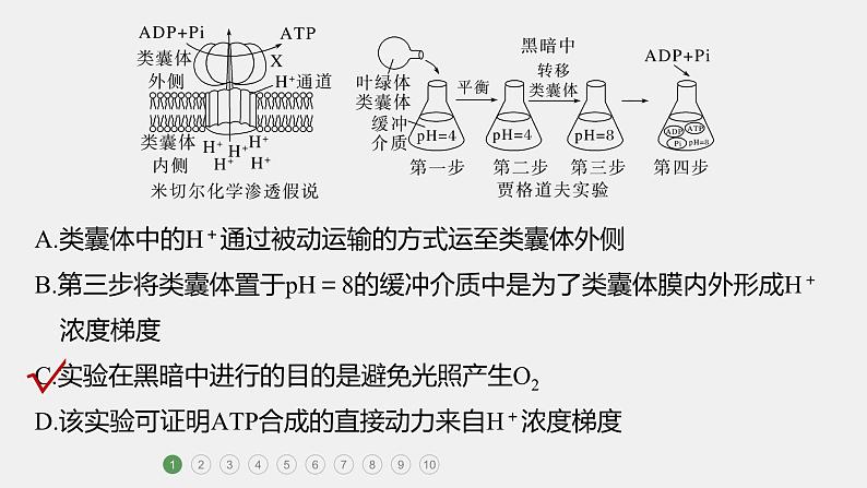 第一篇　主题一　专题(四)　专题强化练B第3页