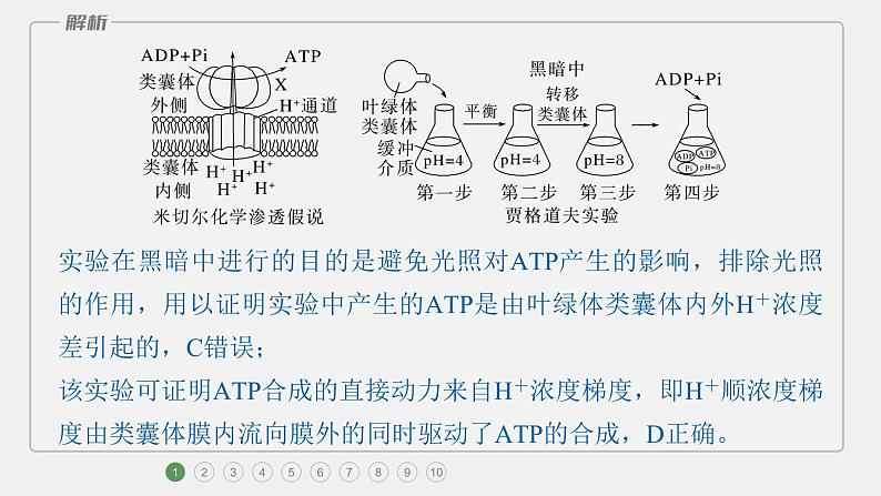 第一篇　主题一　专题(四)　专题强化练B第4页