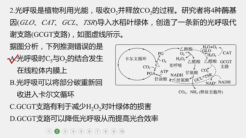 第一篇　主题一　专题(四)　专题强化练B第5页