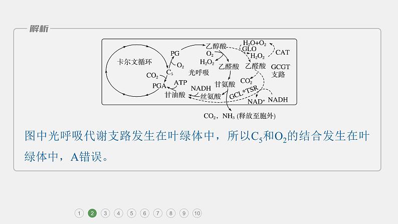 第一篇　主题一　专题(四)　专题强化练B第6页