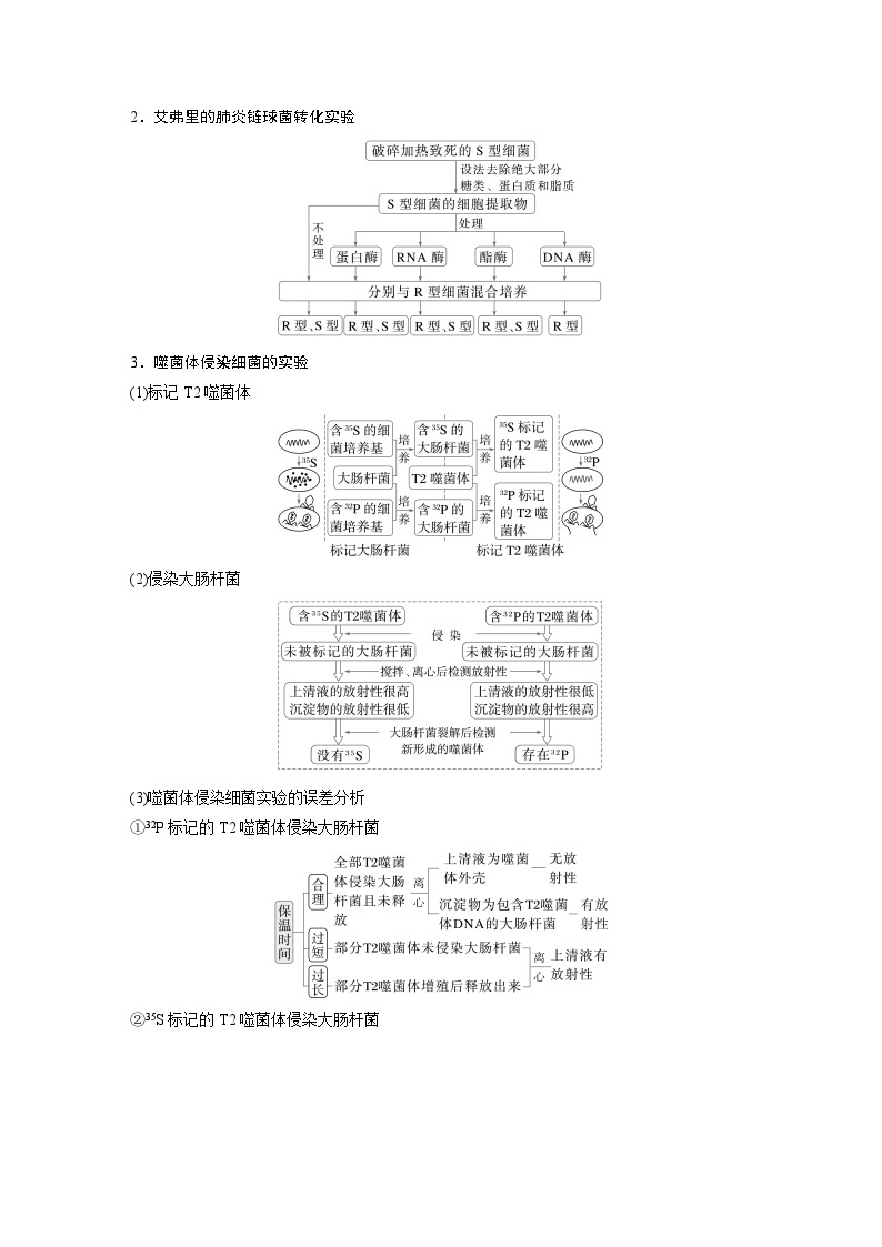 第一篇　主题二　专题(五)　命题点1　遗传物质的发现 2024年高考生物二轮复习课件+讲义03