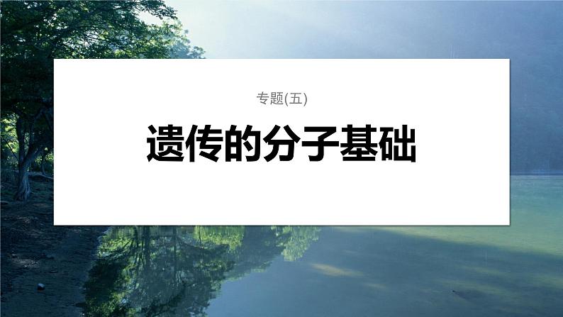 第一篇　主题二　专题(五)　命题点1　遗传物质的发现第1页