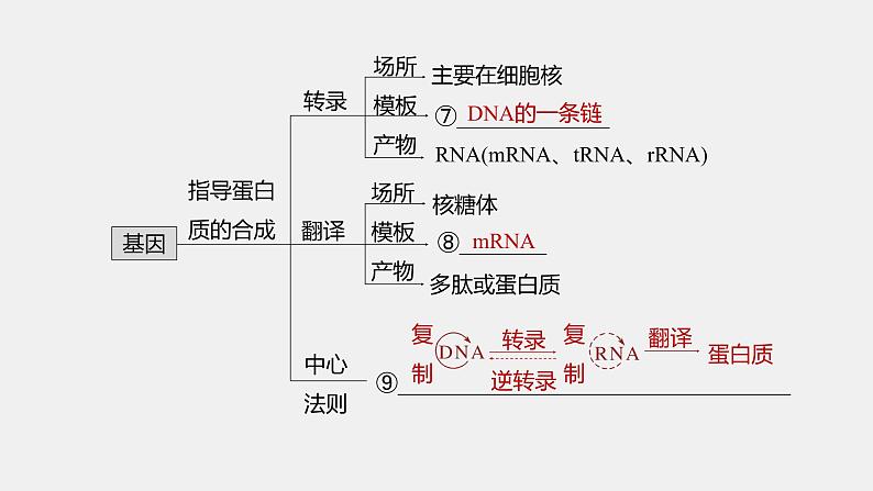 第一篇　主题二　专题(五)　命题点1　遗传物质的发现第5页