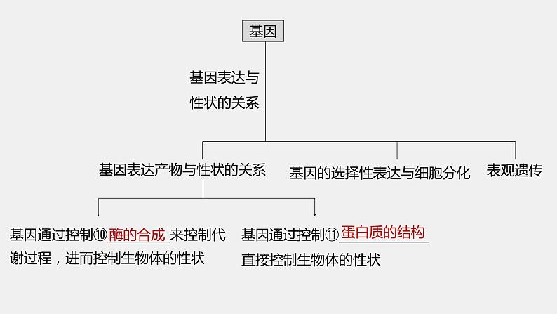 第一篇　主题二　专题(五)　命题点1　遗传物质的发现第6页