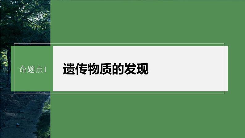 第一篇　主题二　专题(五)　命题点1　遗传物质的发现第7页