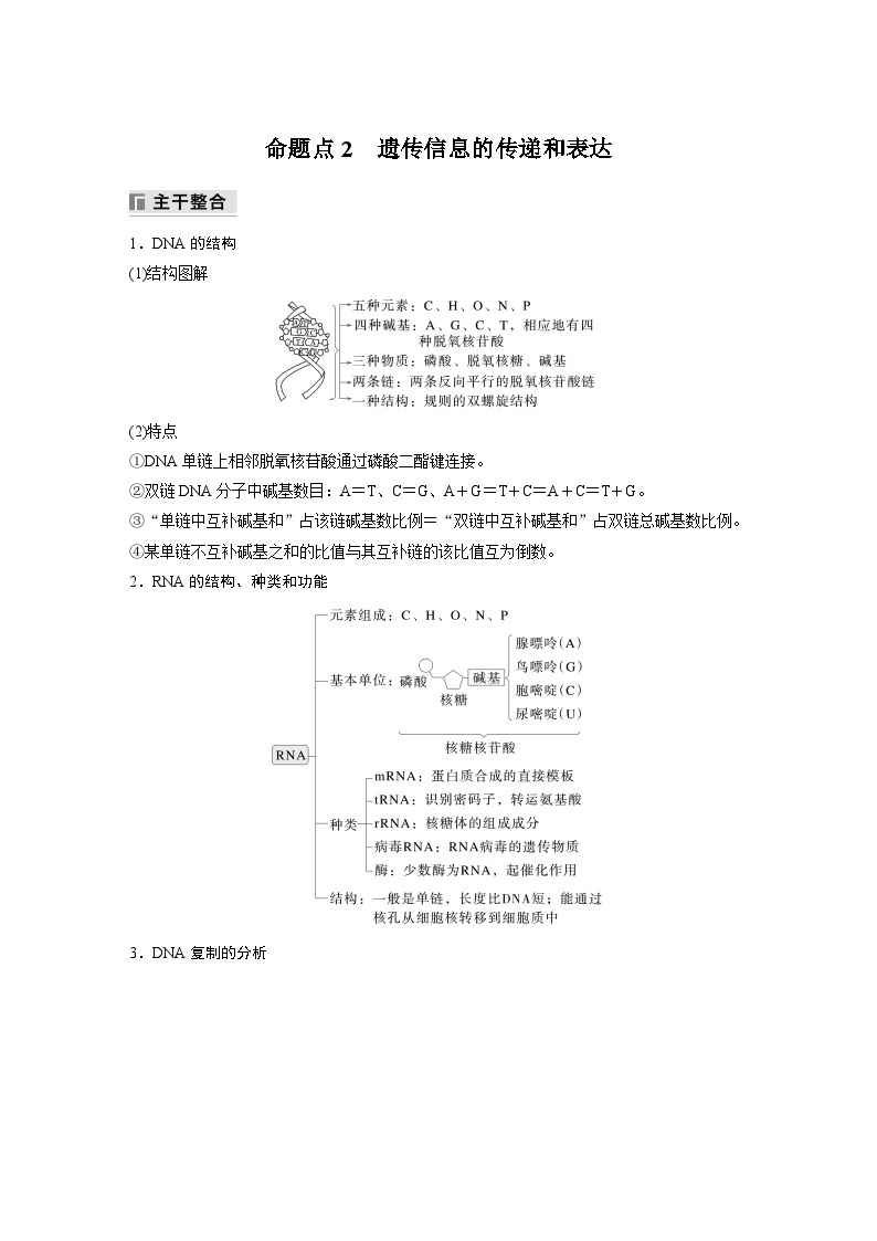 第一篇　主题二　专题(五)　命题点2　遗传信息的传递和表达 2024年高考生物二轮复习课件+讲义01