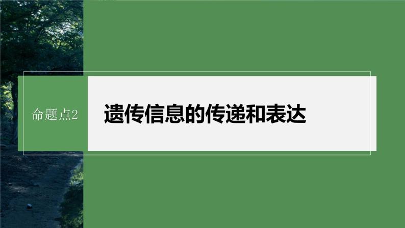 第一篇　主题二　专题(五)　命题点2　遗传信息的传递和表达 2024年高考生物二轮复习课件+讲义02