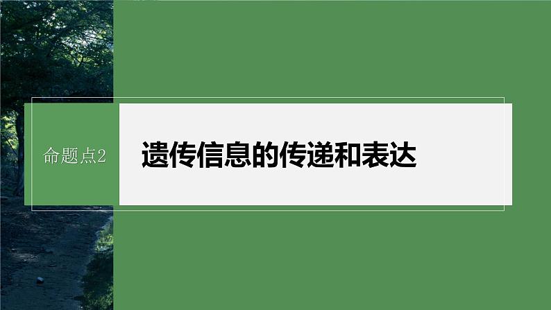 第一篇　主题二　专题(五)　命题点2　遗传信息的传递和表达第2页