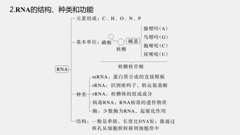 第一篇　主题二　专题(五)　命题点2　遗传信息的传递和表达 2024年高考生物二轮复习课件+讲义06