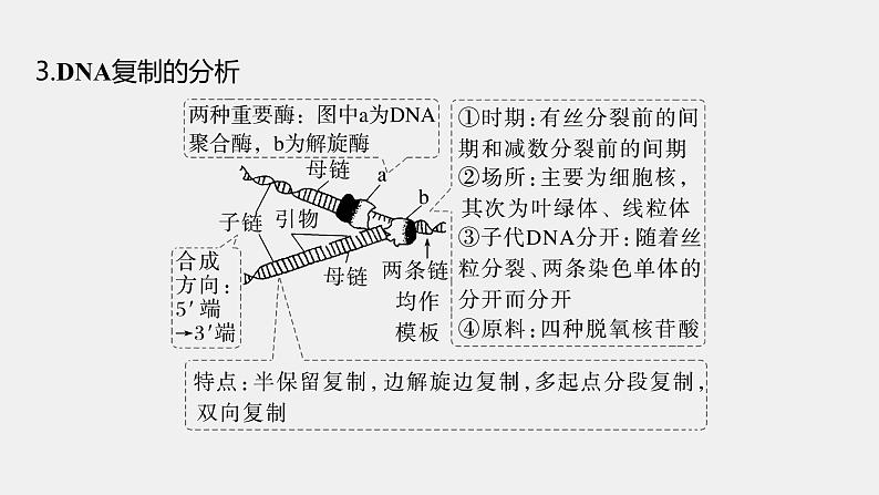 第一篇　主题二　专题(五)　命题点2　遗传信息的传递和表达第7页