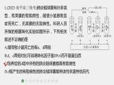 第一篇　主题二　专题(五)　专题强化练 遗传的分子基础 2024年高考生物二轮复习课件+讲义
