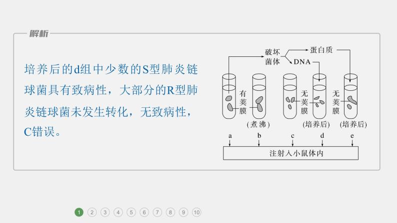 第一篇　主题二　专题(五)　专题强化练 遗传的分子基础 2024年高考生物二轮复习课件+讲义03