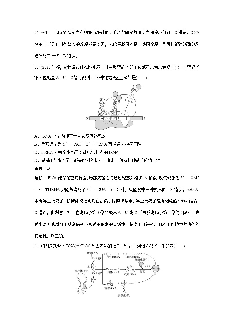 第一篇　主题二　专题(五)　专题强化练 遗传的分子基础 2024年高考生物二轮复习课件+讲义02