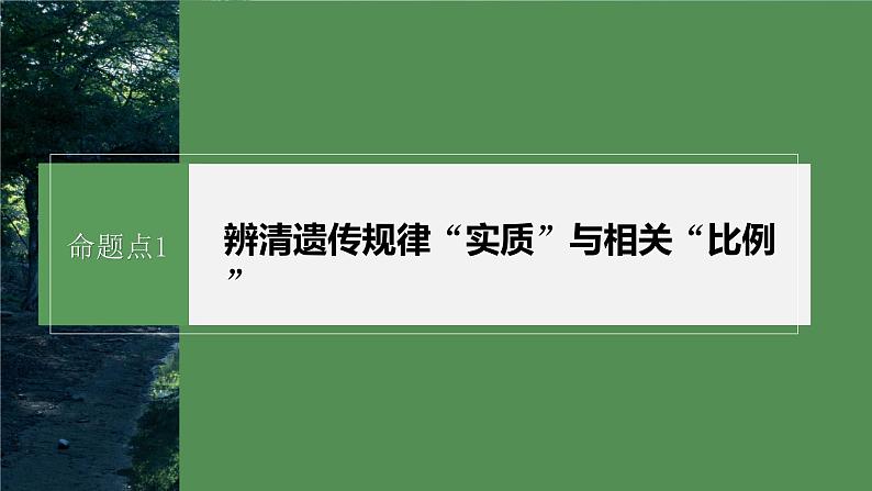 第一篇　主题二　专题(六)　命题点1　辨清遗传规律“实质”与相关“比例”第4页