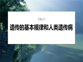 第一篇　主题二　专题(六)　命题点2　伴性遗传与人类遗传病 2024年高考生物二轮复习课件+讲义