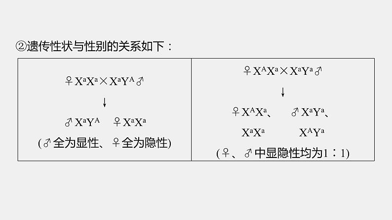 第一篇　主题二　专题(六)　命题点2　伴性遗传与人类遗传病第6页