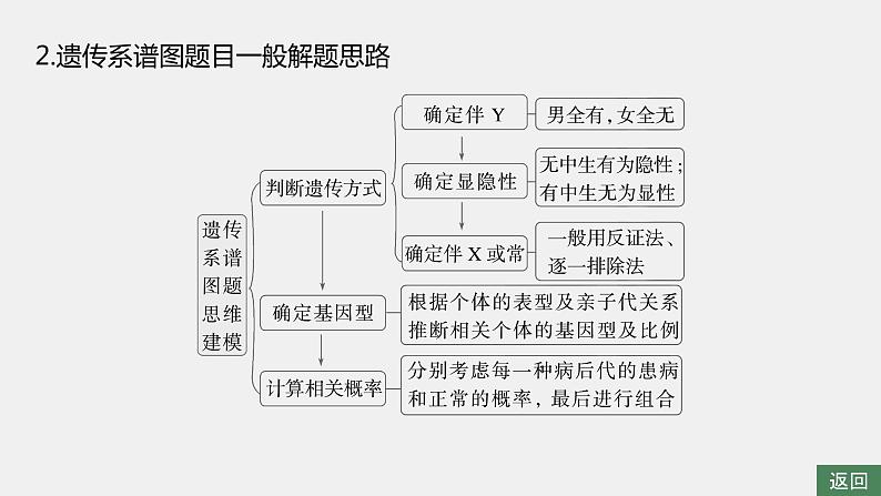 第一篇　主题二　专题(六)　命题点2　伴性遗传与人类遗传病第7页