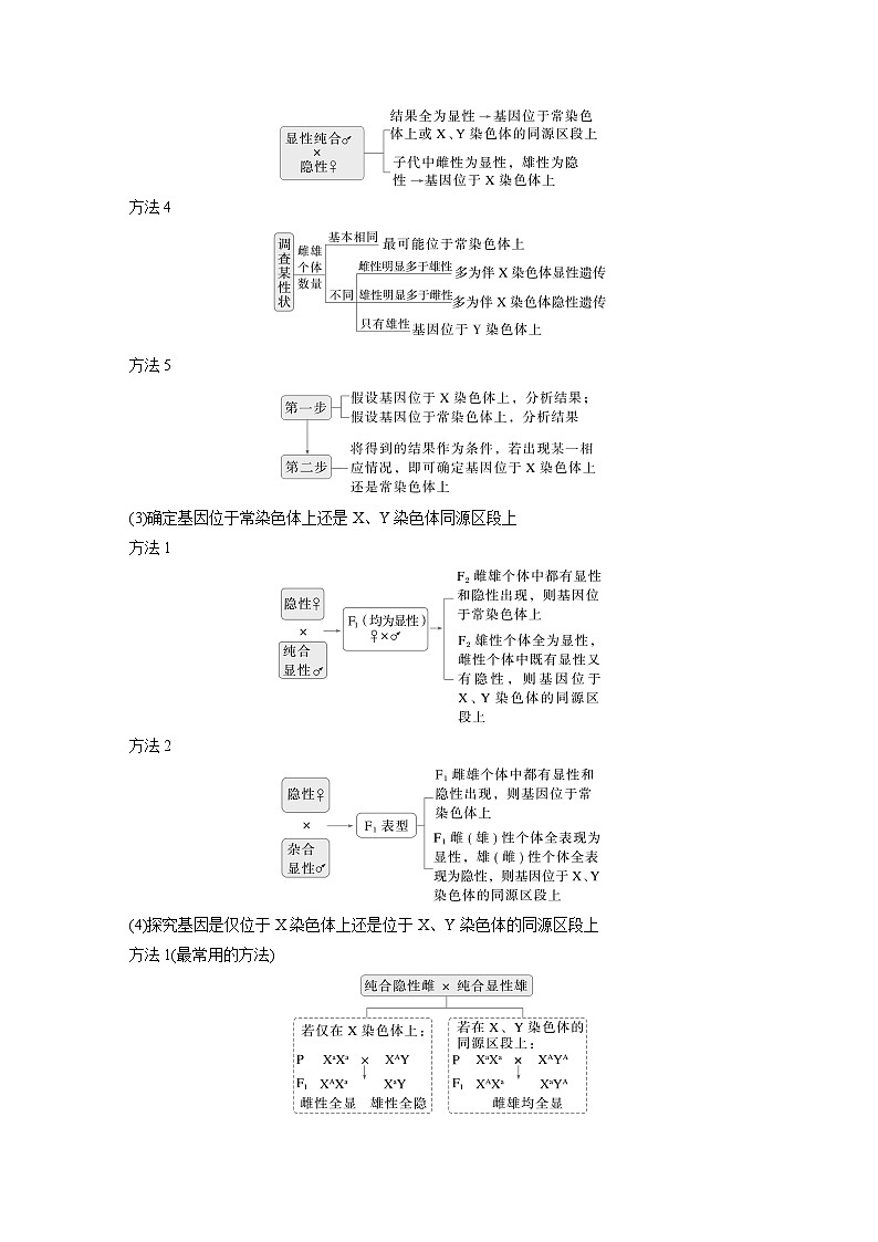 第一篇　主题二　专题(六)　命题点3　遗传实验的设计与推理（教师版）第3页