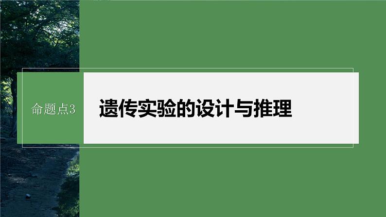 第一篇　主题二　专题(六)　命题点3　遗传实验的设计与推理第2页