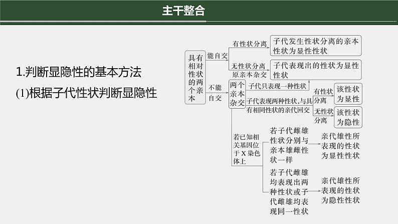 第一篇　主题二　专题(六)　命题点3　遗传实验的设计与推理第4页