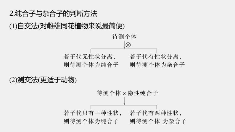 第一篇　主题二　专题(六)　命题点3　遗传实验的设计与推理 2024年高考生物二轮复习课件+讲义06