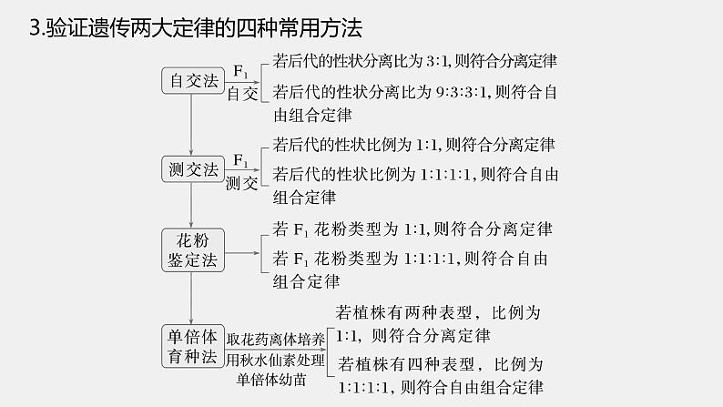 第一篇　主题二　专题(六)　命题点3　遗传实验的设计与推理第8页