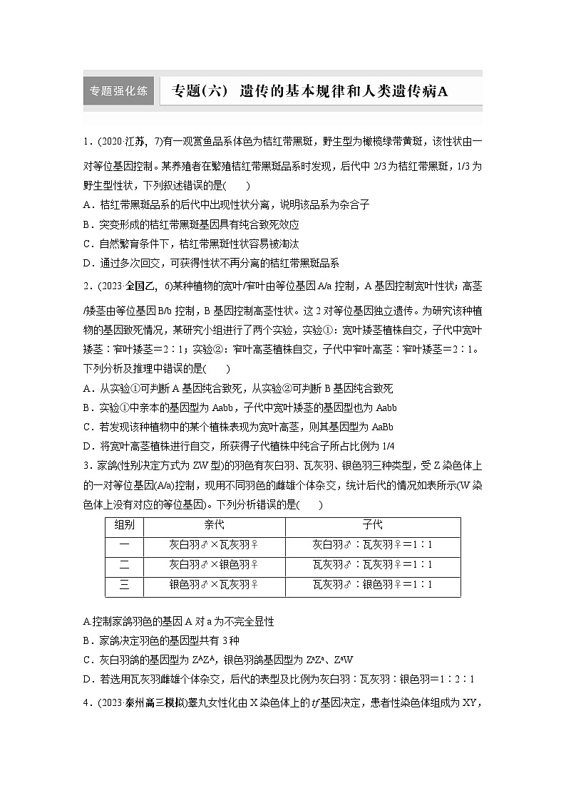 第一篇　主题二　专题(六)　专题强化练A 遗传的基本规律和人类遗传病A 2024年高考生物二轮复习课件+讲义01