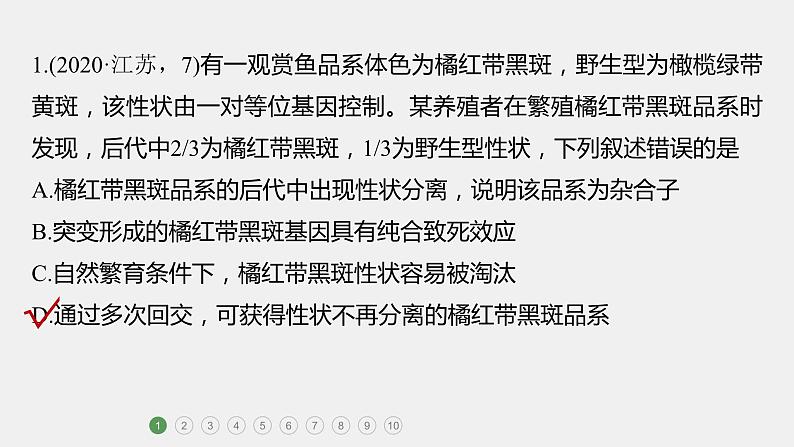 第一篇　主题二　专题(六)　专题强化练A 遗传的基本规律和人类遗传病A 2024年高考生物二轮复习课件+讲义02