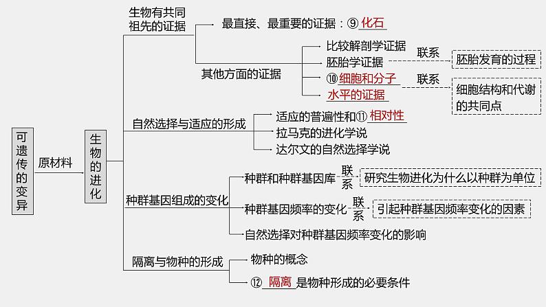 第一篇　主题二　专题(七)　命题点1　变异及其育种应用第5页