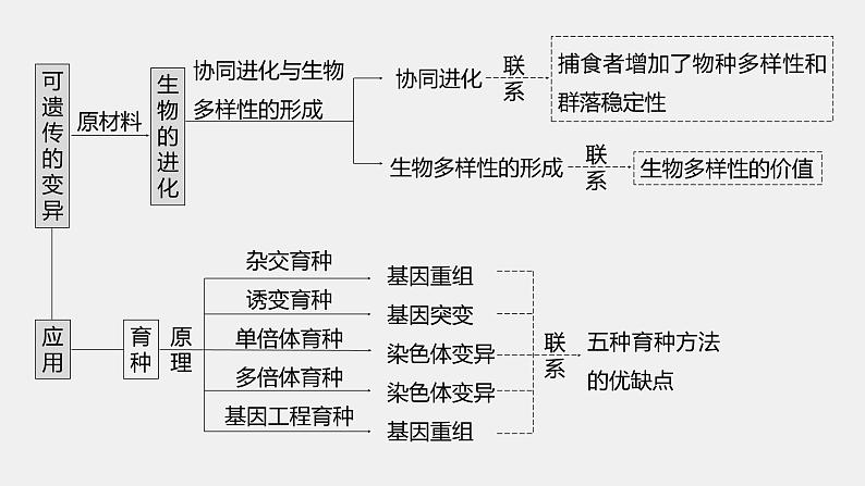 第一篇　主题二　专题(七)　命题点1　变异及其育种应用第6页