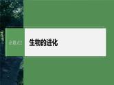 第一篇　主题二　专题(七)　命题点2　生物的进化 2024年高考生物二轮复习课件+讲义