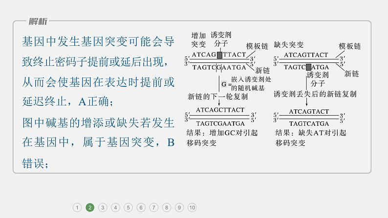 第一篇　主题二　专题(七)　专题强化练第7页