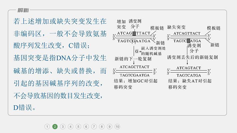 第一篇　主题二　专题(七)　专题强化练第8页