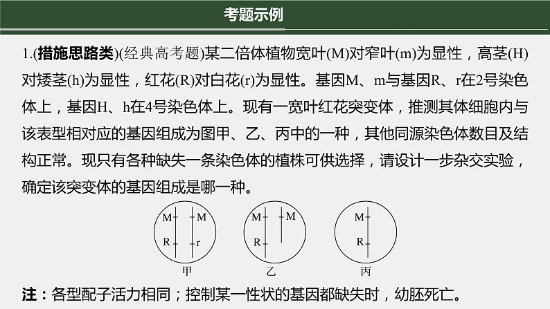 第一篇　主题二　语言表达(二)　变异类型的确定 2024年高考生物二轮复习课件+讲义03