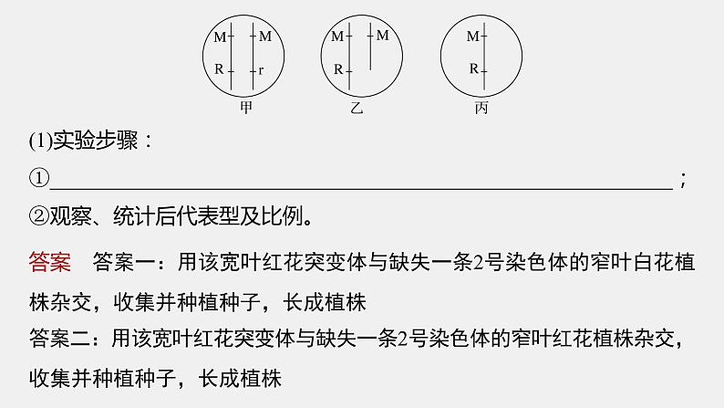 第一篇　主题二　语言表达(二)　变异类型的确定 2024年高考生物二轮复习课件+讲义04