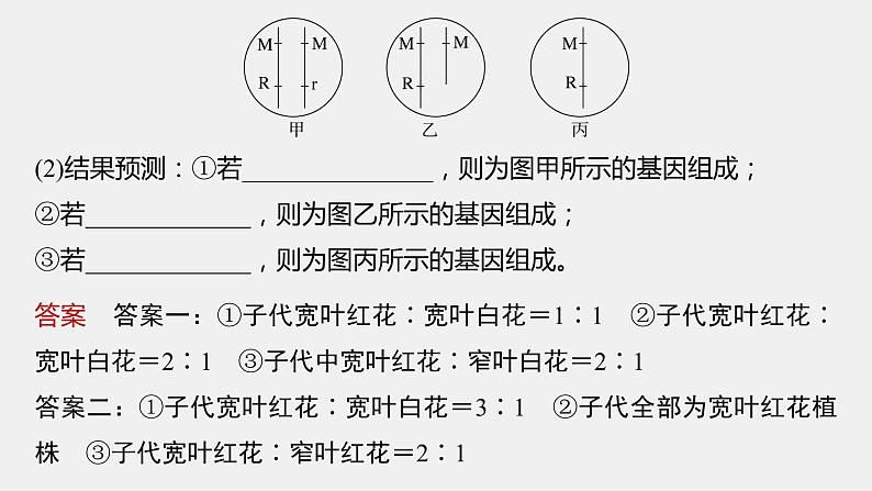 第一篇　主题二　语言表达(二)　变异类型的确定 2024年高考生物二轮复习课件+讲义05