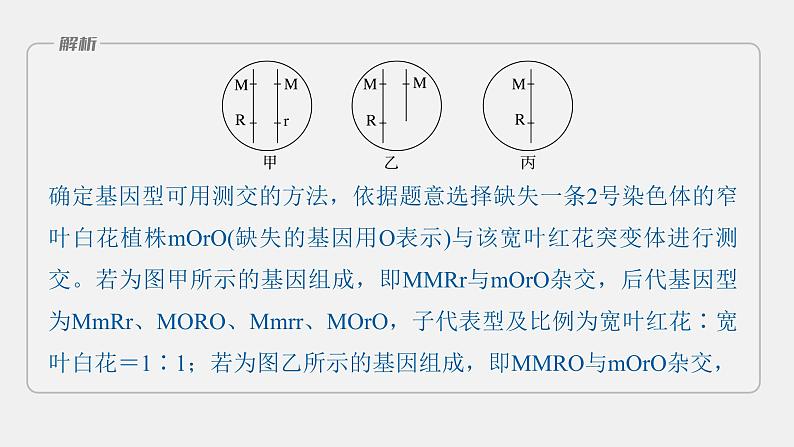 第一篇　主题二　语言表达(二)　变异类型的确定 2024年高考生物二轮复习课件+讲义06