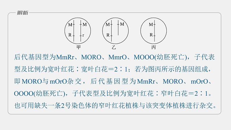 第一篇　主题二　语言表达(二)　变异类型的确定 2024年高考生物二轮复习课件+讲义07