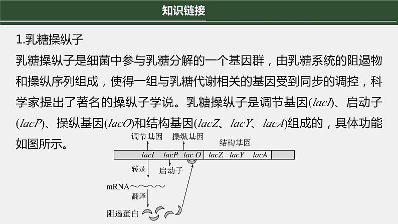 第一篇　主题二　高考热点(二)　遗传前沿科技 2024年高考生物二轮复习课件+讲义04