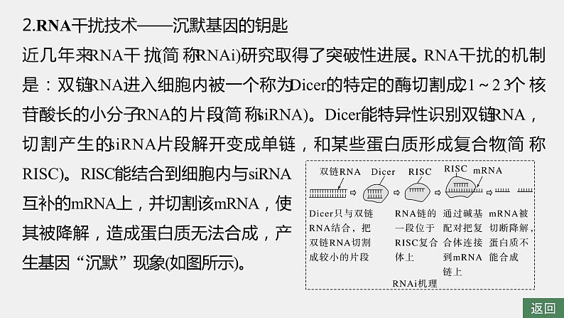 第一篇　主题二　高考热点(二)　遗传前沿科技 2024年高考生物二轮复习课件+讲义06