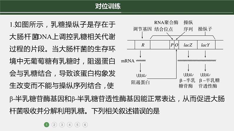 第一篇　主题二　高考热点(二)　遗传前沿科技 2024年高考生物二轮复习课件+讲义07