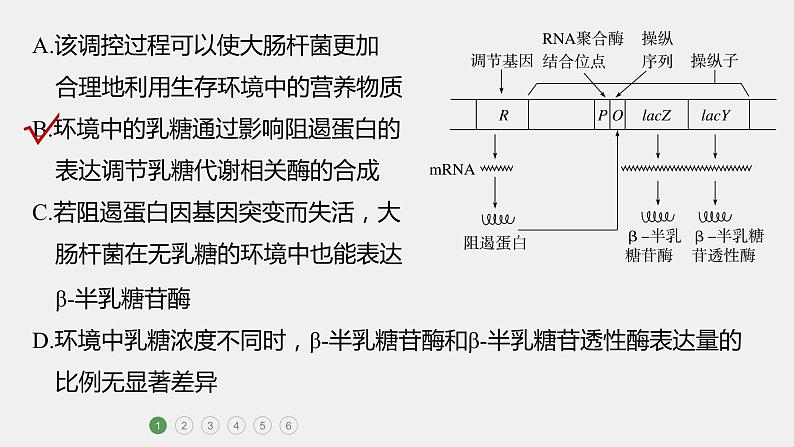 第一篇　主题二　高考热点(二)　遗传前沿科技 2024年高考生物二轮复习课件+讲义08