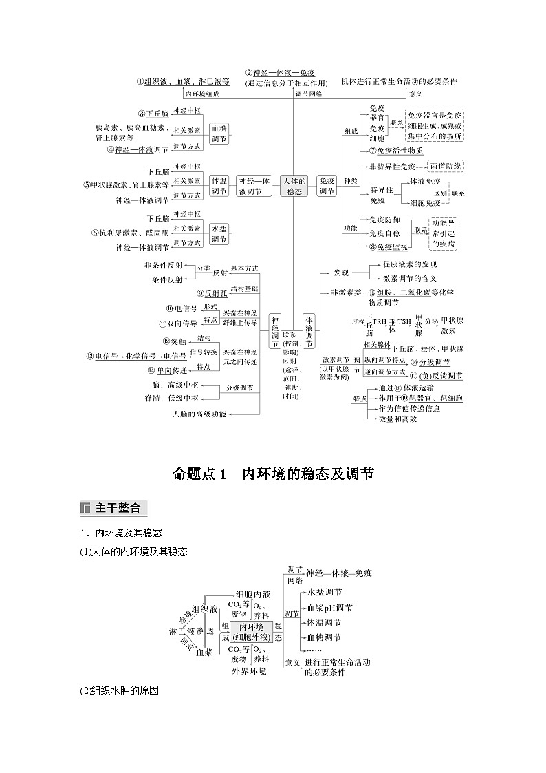 第一篇　主题三　专题(八)　命题点1　内环境的稳态及调节（教师版）第2页