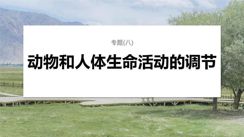 第一篇　主题三　专题(八)　命题点1　内环境的稳态及调节 2024年高考生物二轮复习课件+讲义01