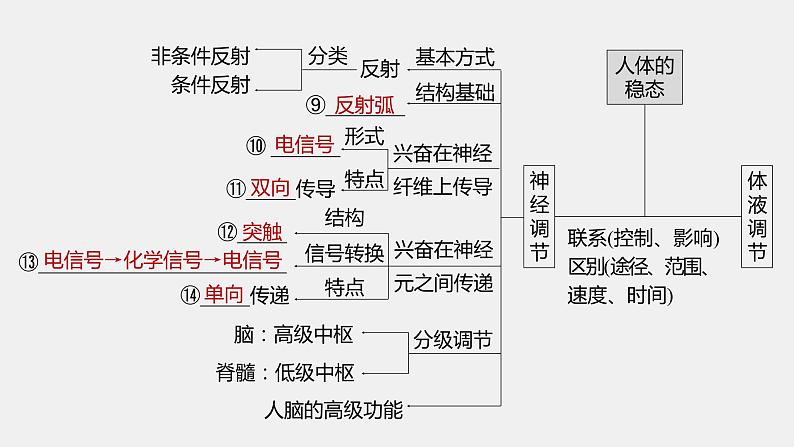 第一篇　主题三　专题(八)　命题点1　内环境的稳态及调节 2024年高考生物二轮复习课件+讲义05