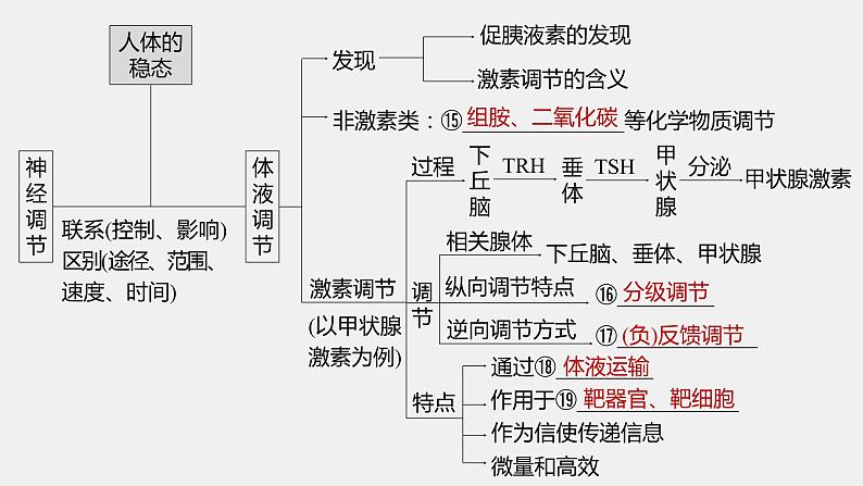 第一篇　主题三　专题(八)　命题点1　内环境的稳态及调节 2024年高考生物二轮复习课件+讲义06